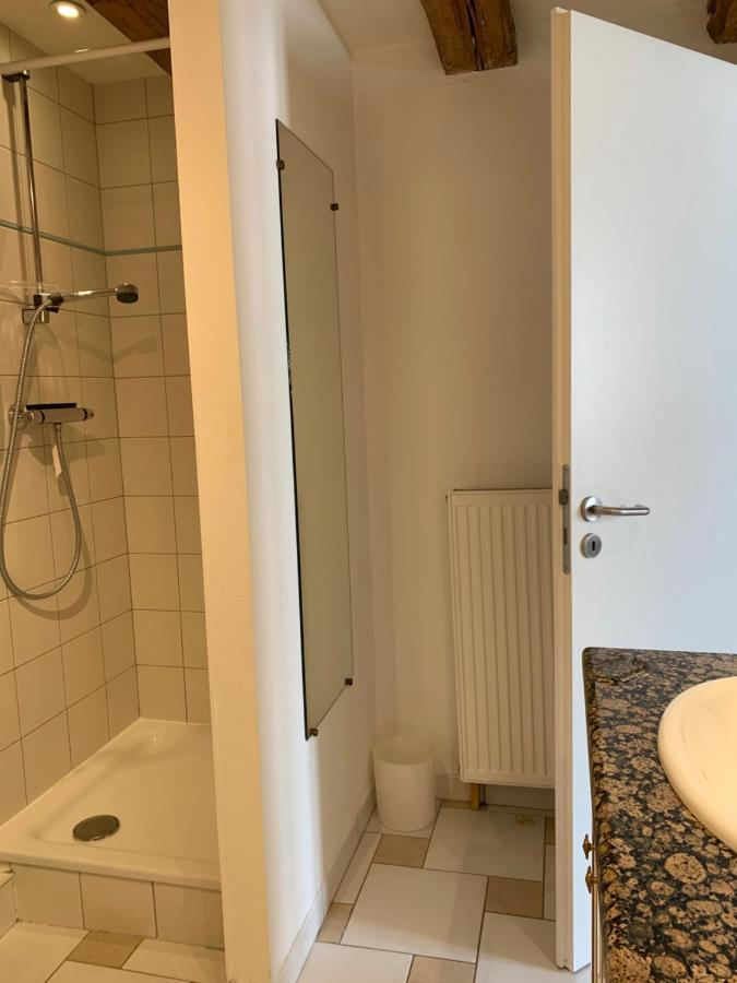 - Chez Josephine Apartment Dambach-la-Ville
