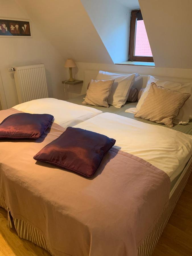 - Chez Josephine Apartment Dambach-la-Ville